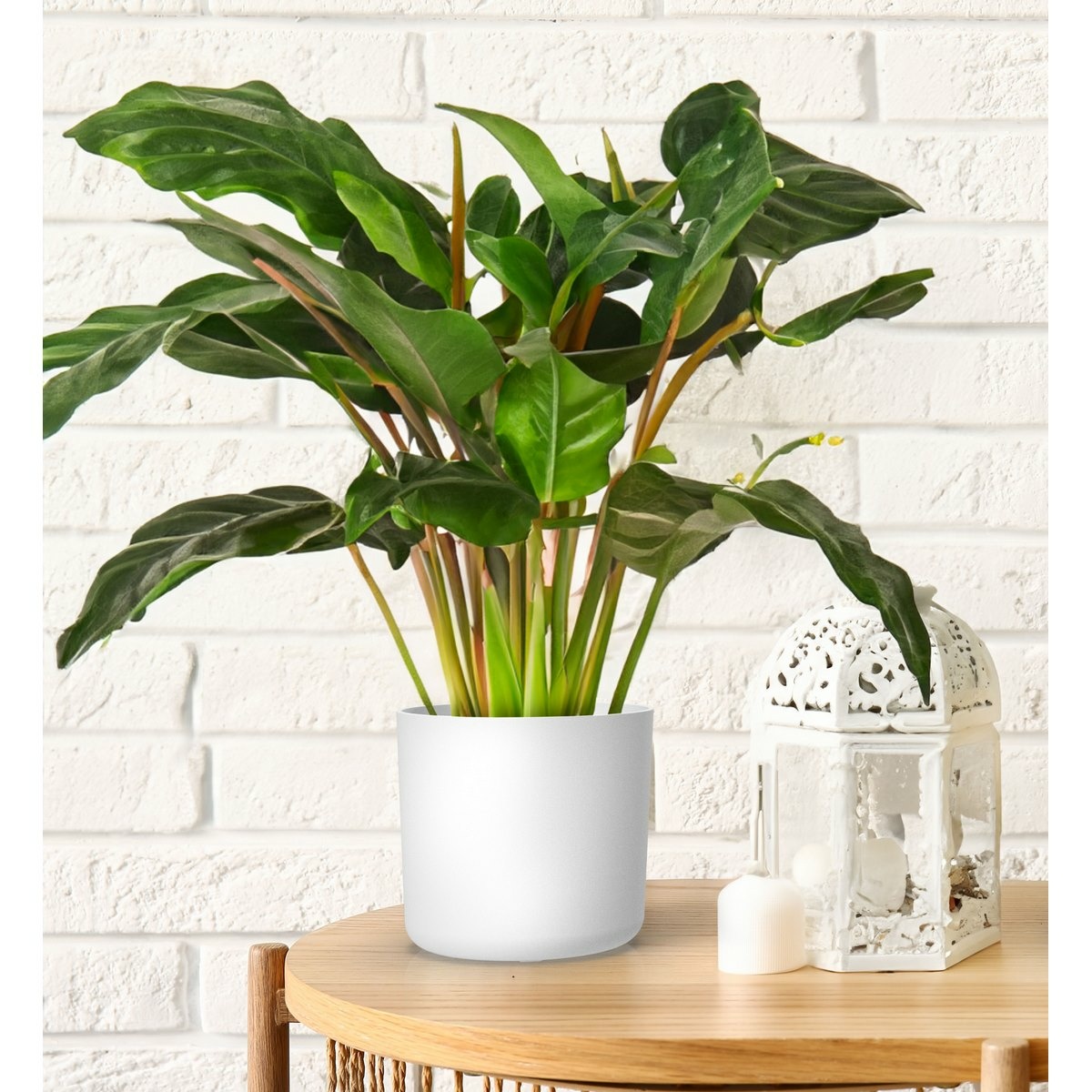 Gardenico Květináč Lora bílá, pr. 30 cm - thumb (2)