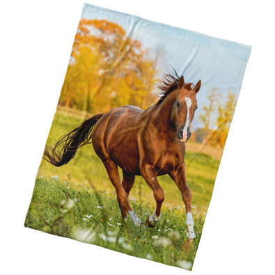 BedTex Mikropoliészta takaró, mezei róka, 150 x200 cm