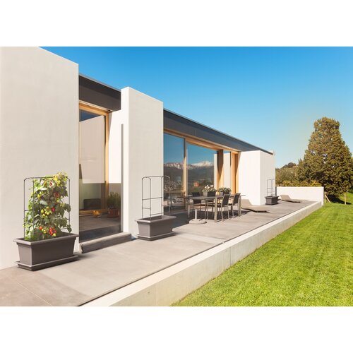 Gardenico függőleges támasz Zöld fal Magnus, 80 cm