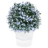 Dekoračná rastlina v kvetináči modrá, 20 cm