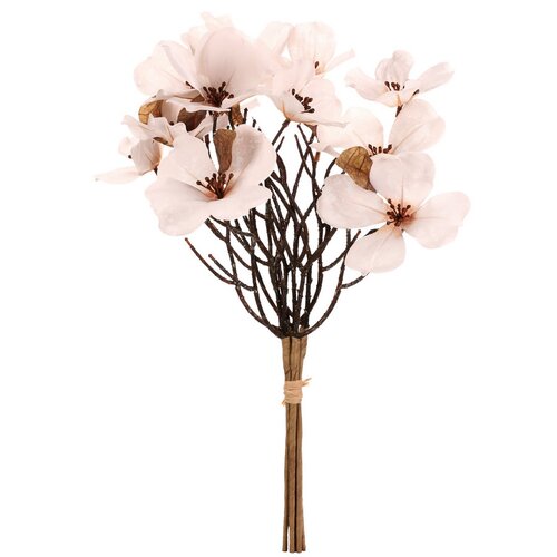 Magnolia biała, 6 gałązek w pęku, 30 x 43 cm