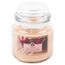 Arome Lumânare parfumată mare în vas de sticlă Apple and Cinnamon, 424 g