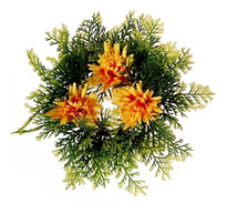 Coroniță conifere cu crizanteme, diam. 25 cm