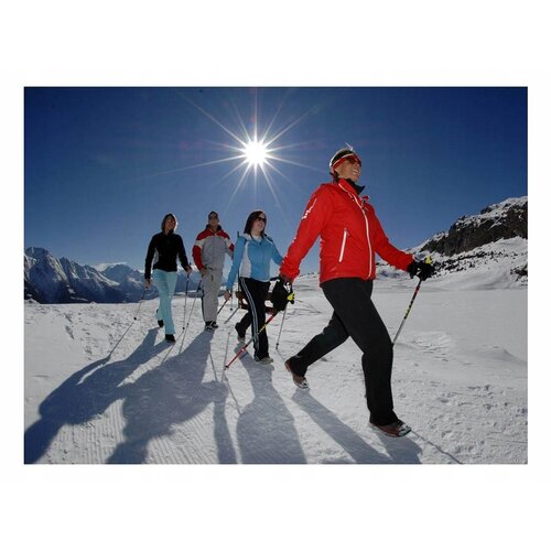 Nordic walking hole with cork handle, silver