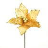 Floare de Crăciun Ponsettia, 25 x 30 cm, șampanie