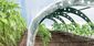 Ogrodowy tunel foliowy FlOO TUNNELS 360 cm, zielony