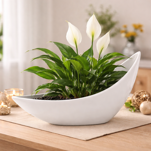 Керамічне кашпо для квіткового горщика біла, 29 x 17 x 8 см