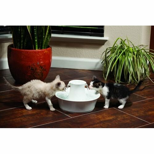 PetSafe® Avalon Ceramiczna fontanna 2 l