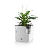 Flower Lover Šikovný kvetináč na bylinky Cobble biela, 14 cm