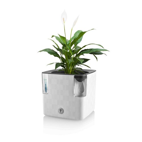 Flower Lover Pametni lonček za zelišča Cobblewhite, 14 cm