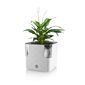 Flower Lover Pametni lonček za zelišča Cobblewhite, 14 cm