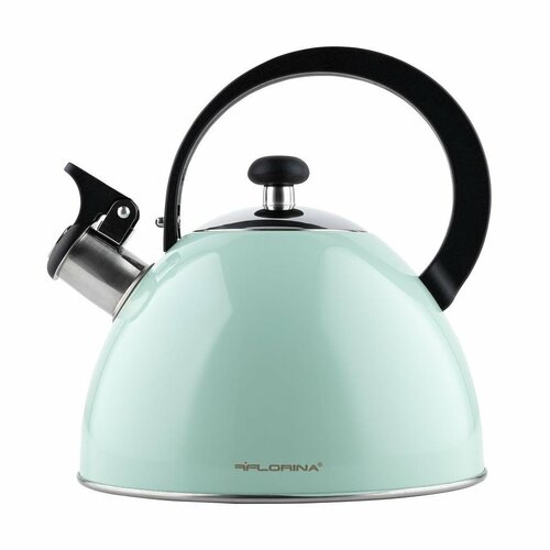 Florina Teekessel Brillo 2,5 l, Mint