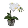 Umelá Orchidea v kvetináči biela, 35 cm