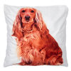 Poszewka na poduszkę Cocker Spaniel, 40 x 40 cm