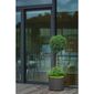 Plastia Selbstbewässernder großvolumiger Blumentopf Berberis 55, anthrazit + grün