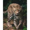 Dětská deka Leopard green, 120 x 150 cm