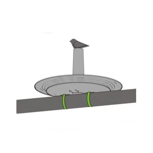 Plastia Zalivalka za ptice Finch, olivna