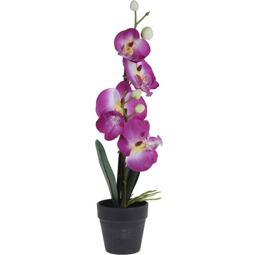 Orchidea v kvetináči ružová, 38 cm