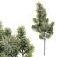 Sztuczna gałązka z nalotem sosna, 64 cm