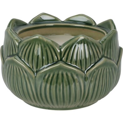 Sveča v porcelanastem cvetličnem lončku 12 x 7,8 cm, zelena