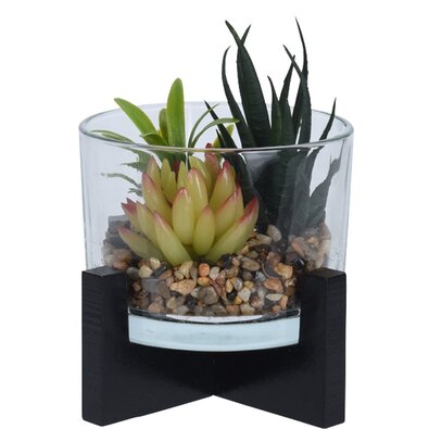 Dekoracyjna kompozycja sztucznych sukulentów „Tanta”, 14 cm