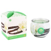 Arome Dišeča sveča v kozarcu Vanilla, 90 g