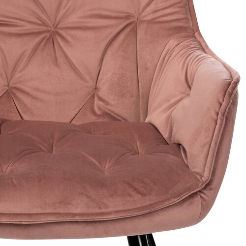 Esszimmerstuhl-Set DCH-421 PINK4, 2 Stück