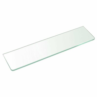 SAPHO 23481 Wandregal 50 x 10 x 0,8 cm, klares Glas