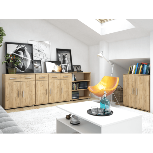 Dulap RESITA TIP 2, stejar artisan