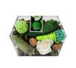 Sušená dekorácia v krabičke, zelená, zelená, 14 x 20 x 6 cm