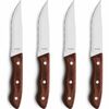 Amefa Steakmesser-Set Hercule, 4 Stück