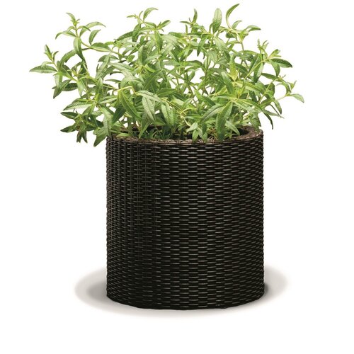 Keter Plastični cvetlični lonec Ratan, rjav, 28 x28 x 28,3 cm