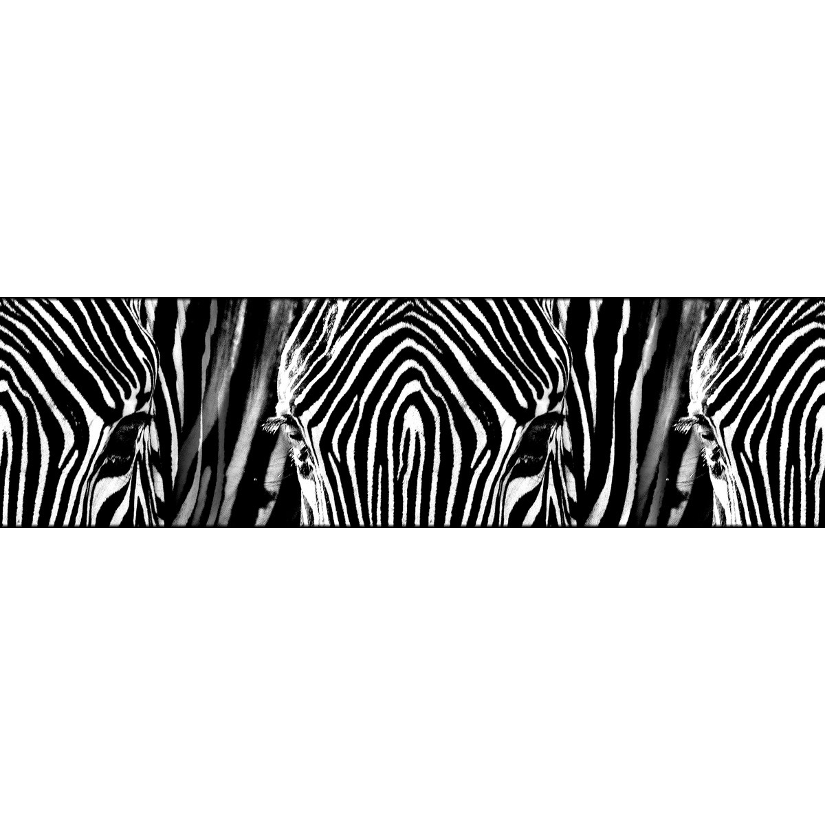 AG Art Samolepicí bordura Zebra, 500 x 14 cm