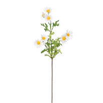 Umělá Kopretina bílá, 60 cm Umělá Kopretina bílá, 60 cm