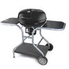 Fieldmann FZG 1014 Holzkohlegrill