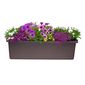 Jardinieră cu auto-irigare Plastia Berberis TRIO,ciocolată
