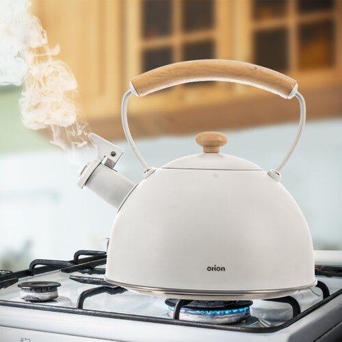 Orion Edelstahl-Teekanne mit Pfeife WHITELINE,  2,9 l