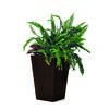 Ketter Pokrov za cvetlični lonec Rattan Planterrjava, 23,6 l, 29 x 44 x 29 cm