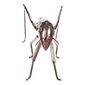 Decorațiune de grădină din metal Grasshopper, 37 x12 x 14 cm