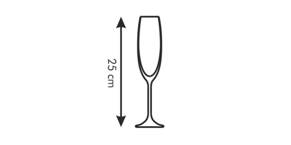 Tescoma 6dílná sada sklenic na šampaňské SOMMELIER