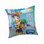 Подушка Paw Patrol PP325, 40 x 40 см