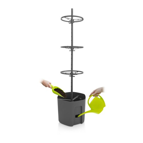 Gardenico Anzuchtbehälter für Tomaten  Anthrazit, D. 39 cm