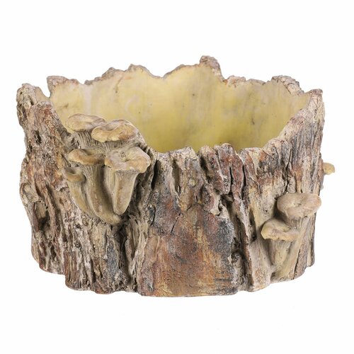Beton burkolat - tusk with mushrooms, 32 x 29 x 16 cm