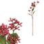 Umetna cvetlica Krásnoplodka japonska temno roza,63 cm