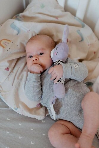 Pískátko / kousátko babyted Zajíček plyš 25 cm,fialová