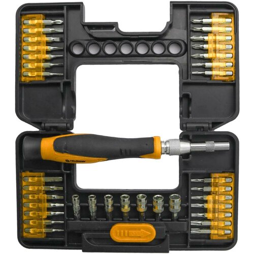 Fieldmann FDS 1022-36R Schraubendreher- und Bits-Set, 36-tlg.