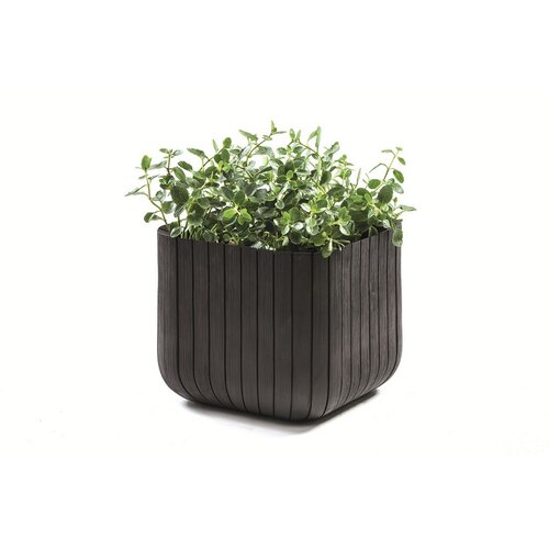 Ghiveci Keter Cube M 50,5 l, antracit