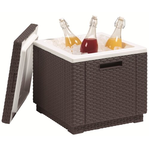 Keter Kühlbox Ice Cube 40 l, braun