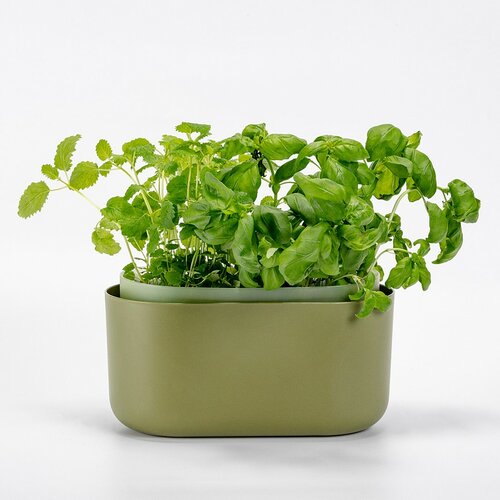 Plastia Samozavlažovací truhlík Tolita zelená, 31 x 16 cm