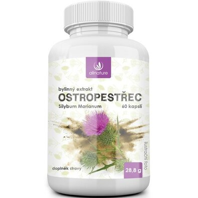 Allnature Mariendistel Kräuterextrakt, 60 Kapsel